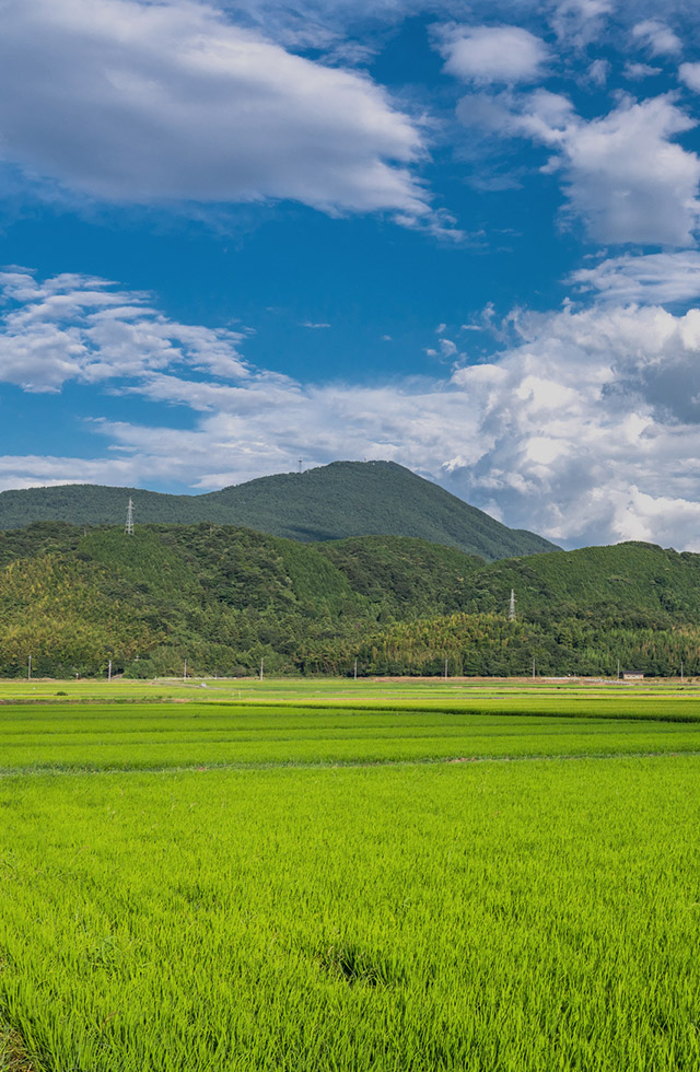 一粒に込める、ふるさとの誇りと想い。